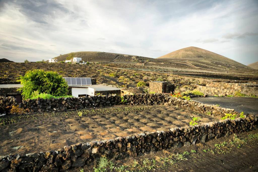 Los Frailes Eco Finca A Tinajo Esterno foto